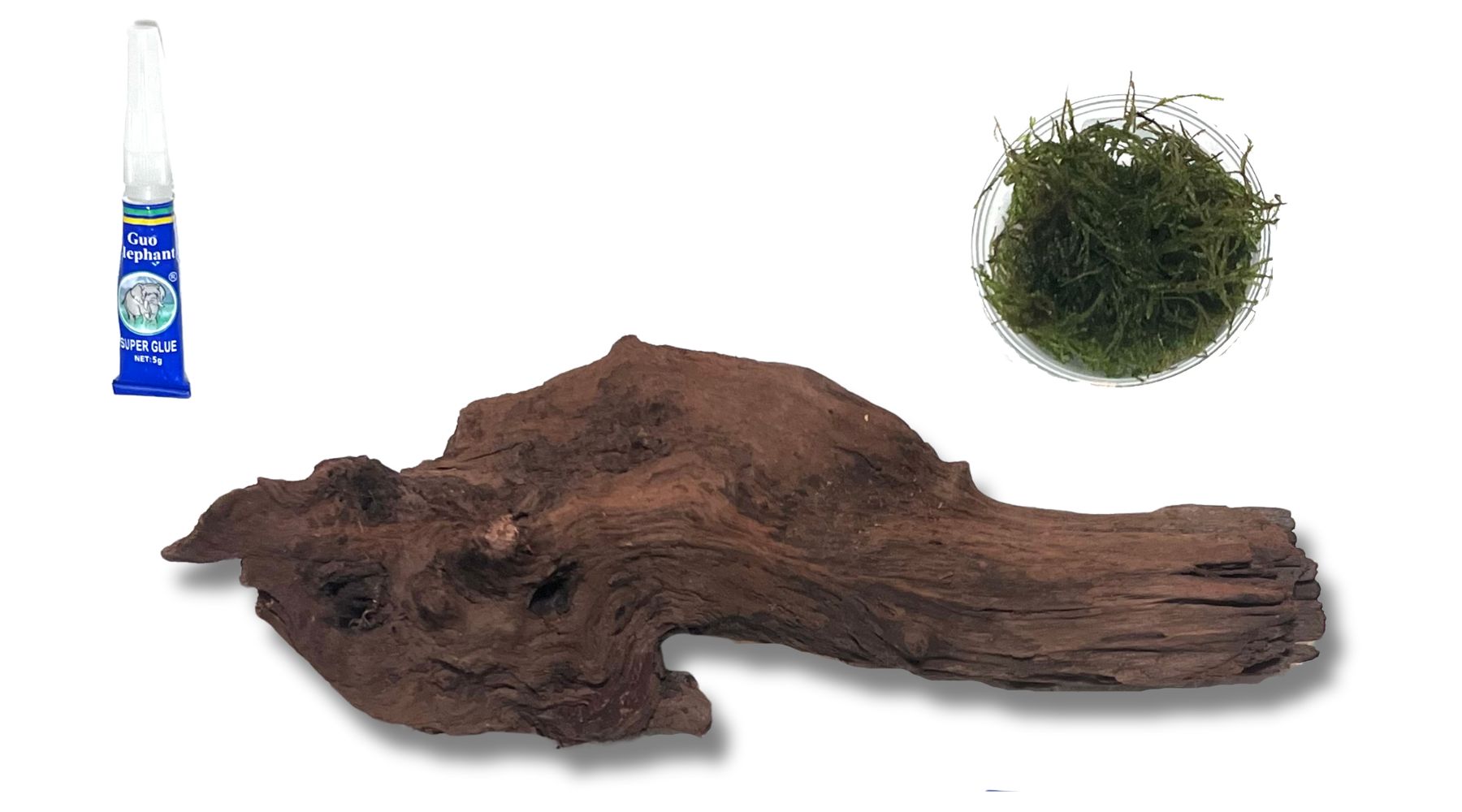 how-to-attach-java-moss-on-driftwood-youtube